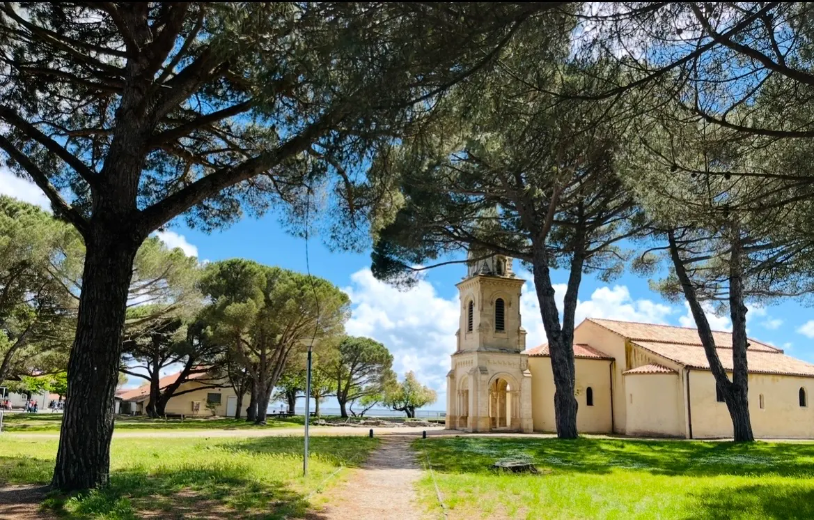 Église d'Andernos-les-Bains et son clocher, entourée de pins parasols