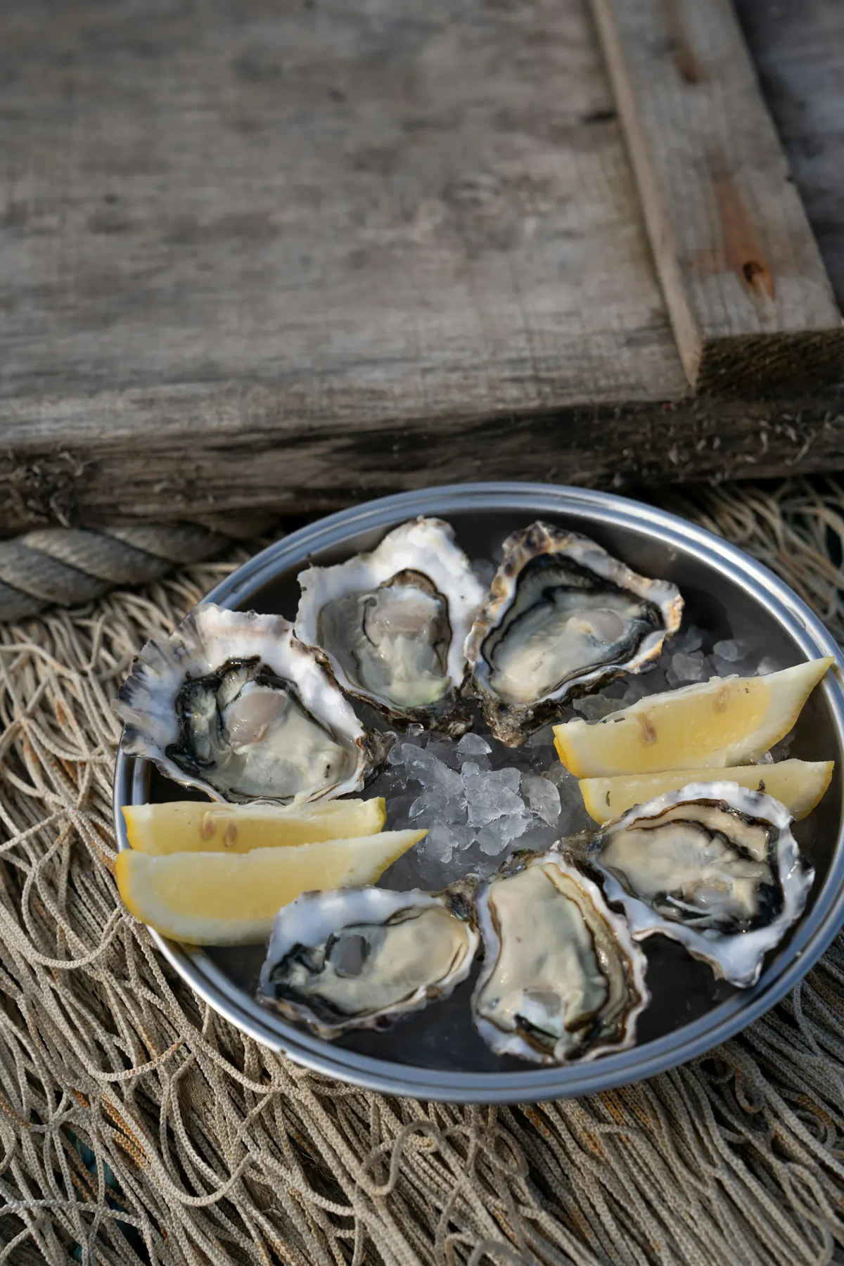 Assiette d'huîtres et quartiers de citron posée sur un filet de pêche
