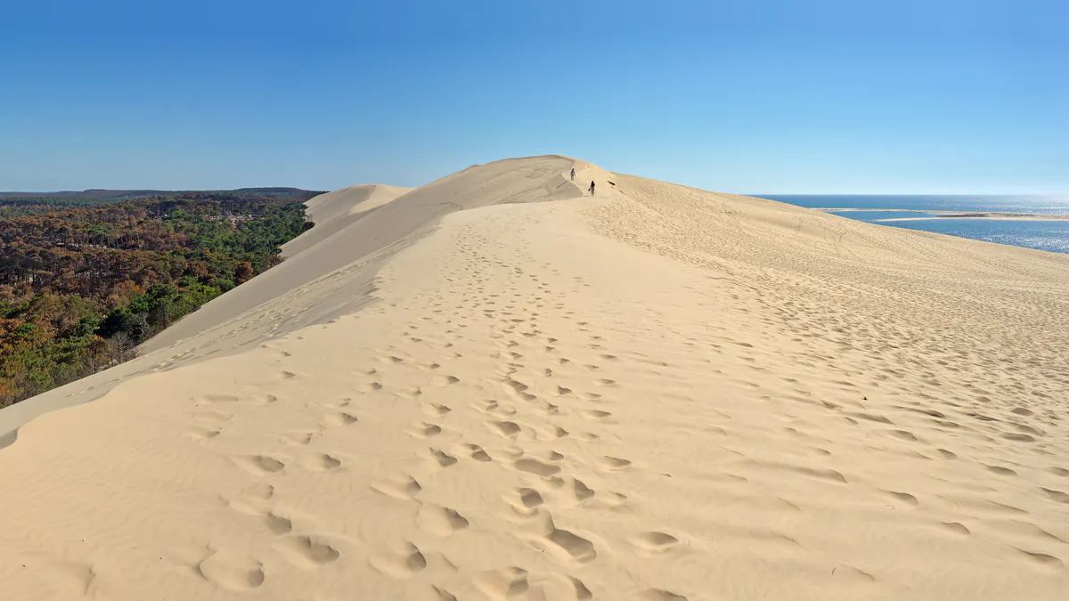 Crête de la dune du Pilat, entre la forêt des Landes et l'océan