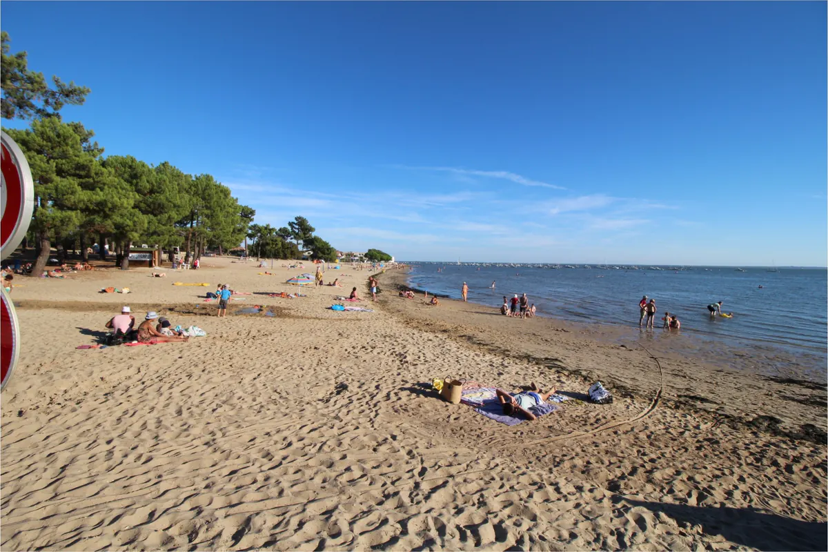Plage du Mauret à Andernos-les-Bains, bordée de pins, un jour de grand soleil