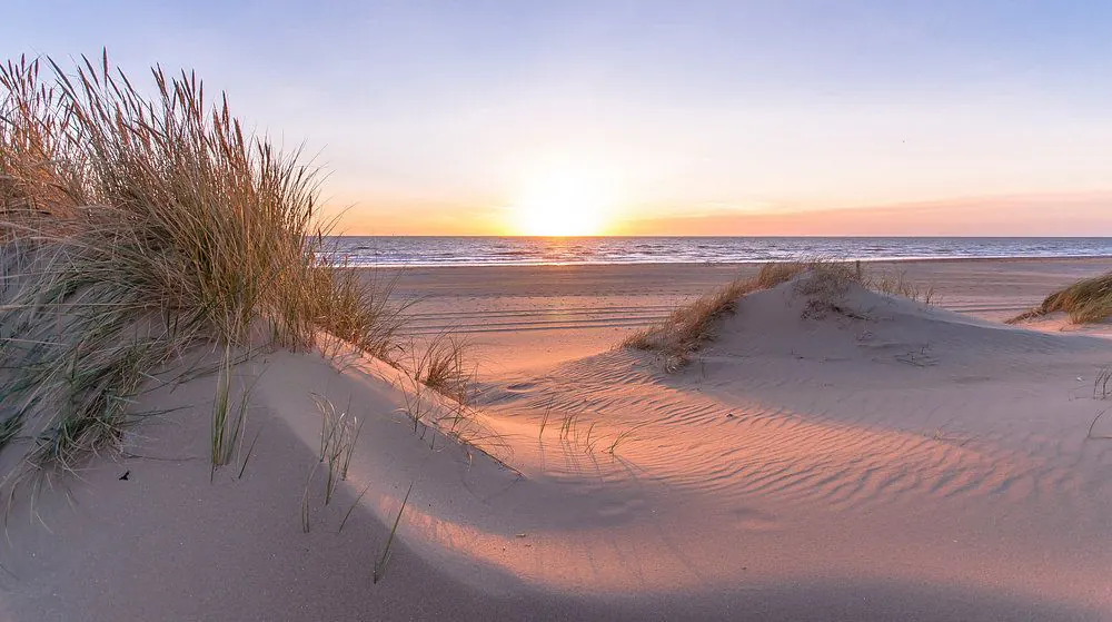 Dune et oyats au coucher du soleil, face à l'océan